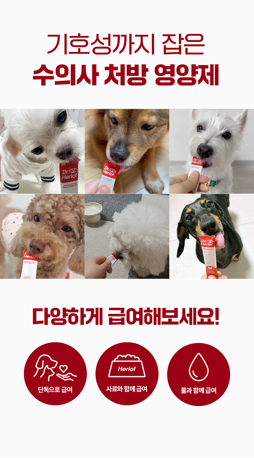 [NEW신상][무료배송] 닥터헤리엇 브레스케어 4번째