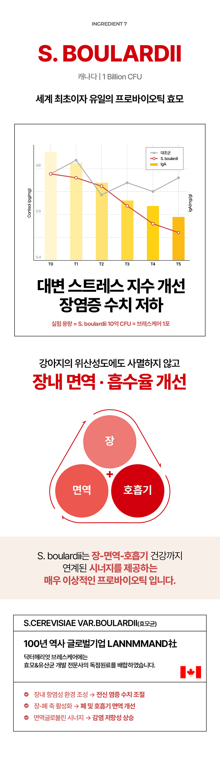 [NEW신상][무료배송] 닥터헤리엇 브레스케어 17번째