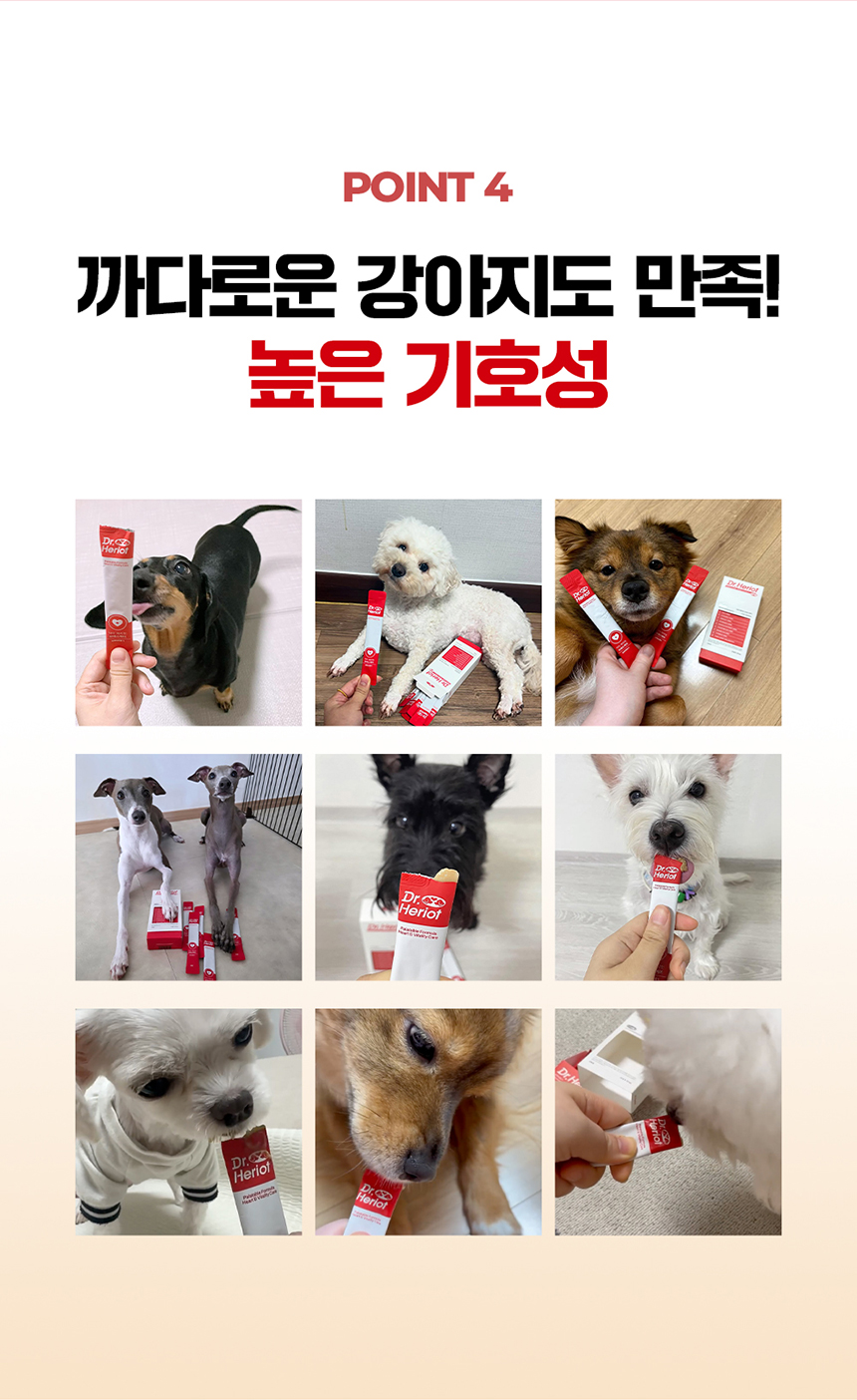 [NEW신상][무료배송] 닥터헤리엇 브레스케어 19번째