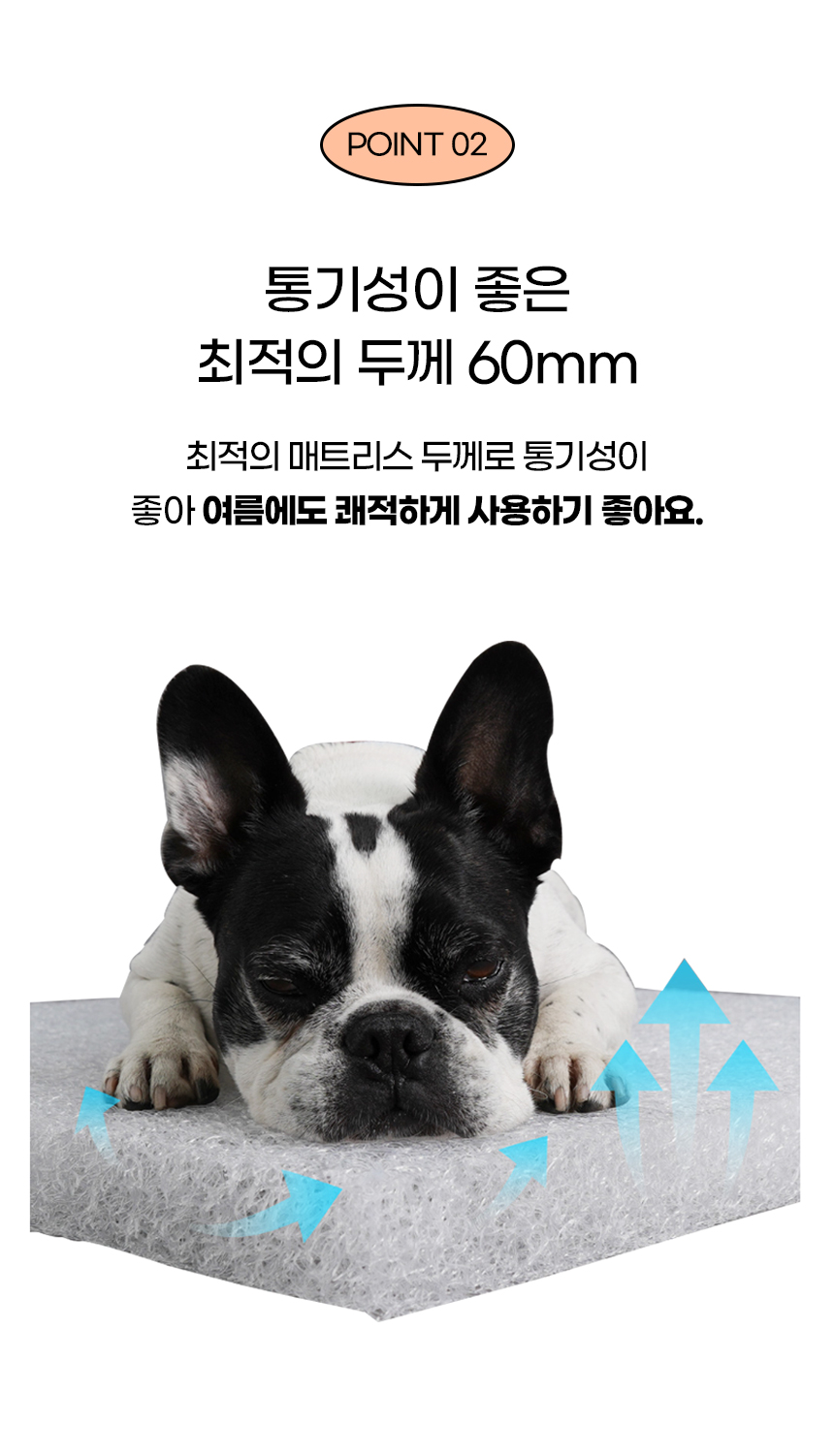 [NEW신상][무료배송] 개과천선 쓰리디 에어 오투스 방석 (파스텔 민트/다크 그레이) 7번째