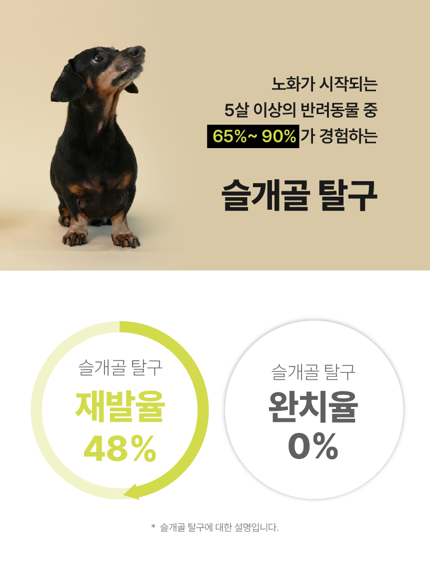 [체험단] [무료배송] 펫글로우 독 아티플러스 관절 영양제 100g 10번째