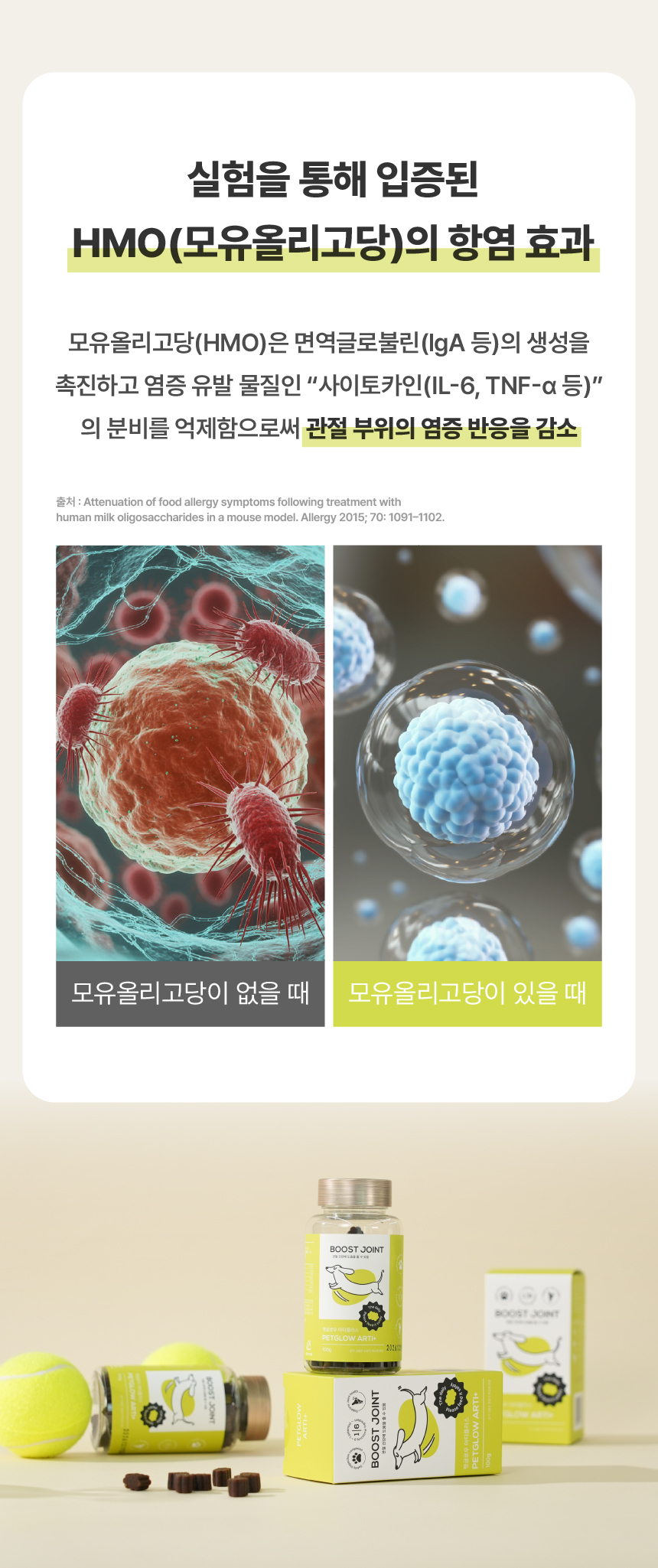 [체험단] [무료배송] 펫글로우 독 아티플러스 관절 영양제 100g 18번째