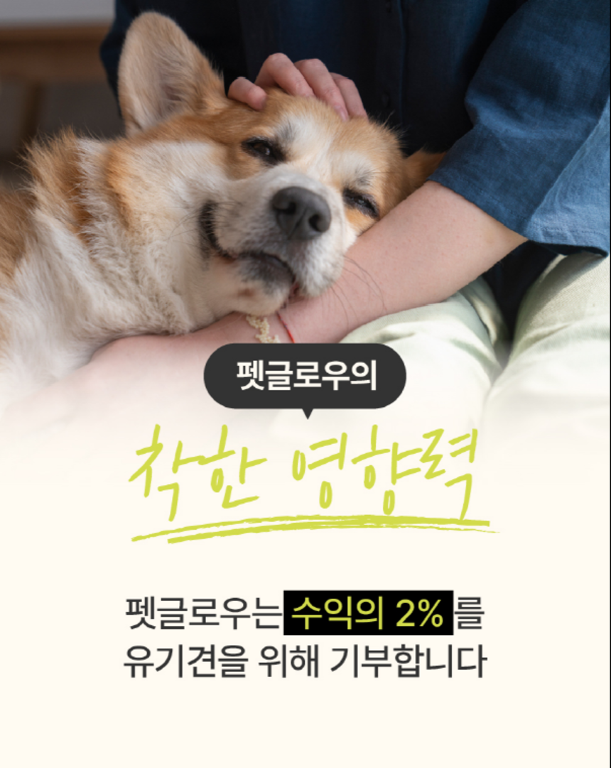 [체험단] [무료배송] 펫글로우 독 아티플러스 관절 영양제 100g 3번째