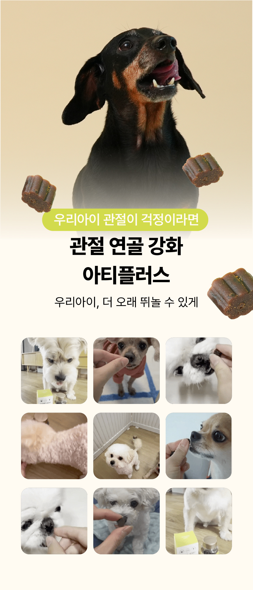 [체험단] [무료배송] 펫글로우 독 아티플러스 관절 영양제 100g 5번째