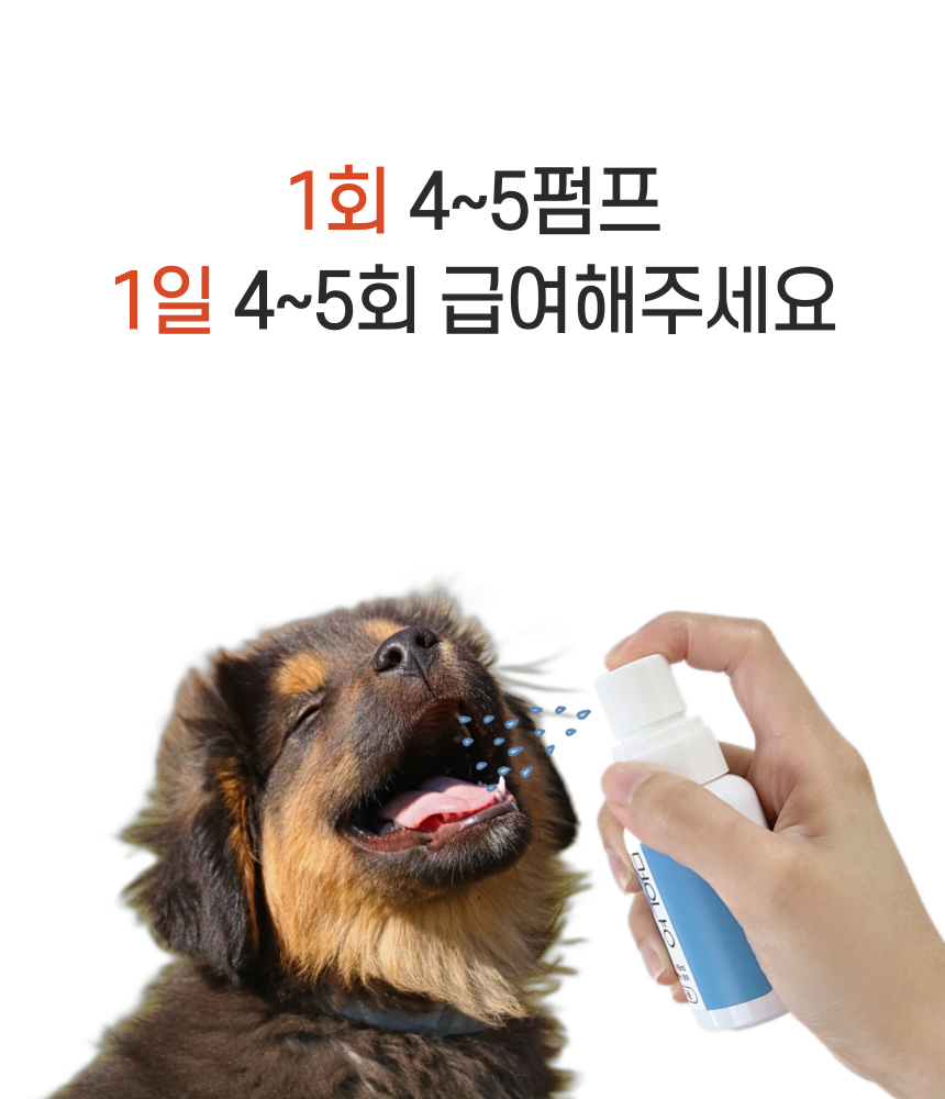 [무료배송] 날라주 챙겨멍냥-R 뿌려먹이는 기관지협착증 영양제 45ml*30일 5번째