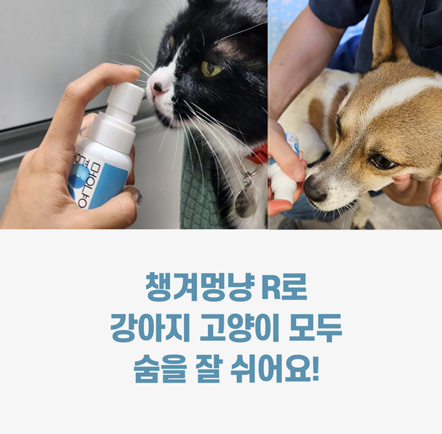 [무료배송] 날라주 챙겨멍냥-R 뿌려먹이는 기관지협착증 영양제 45ml*30일 4번째