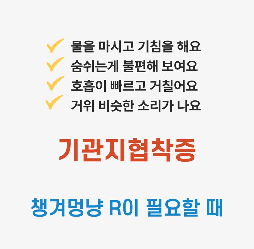 [무료배송] 날라주 챙겨멍냥-R 뿌려먹이는 기관지협착증 영양제 45ml*30일 2번째