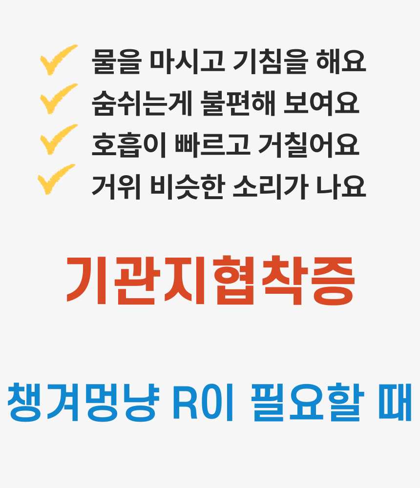 [무료배송] 날라주 챙겨멍냥-R 뿌려먹이는 기관지협착증 영양제 45ml*30일 2번째