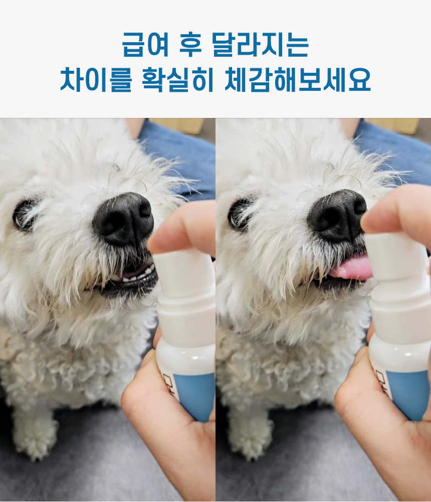 [무료배송] 날라주 챙겨멍냥-R 뿌려먹이는 기관지협착증 영양제 45ml*30일 3번째