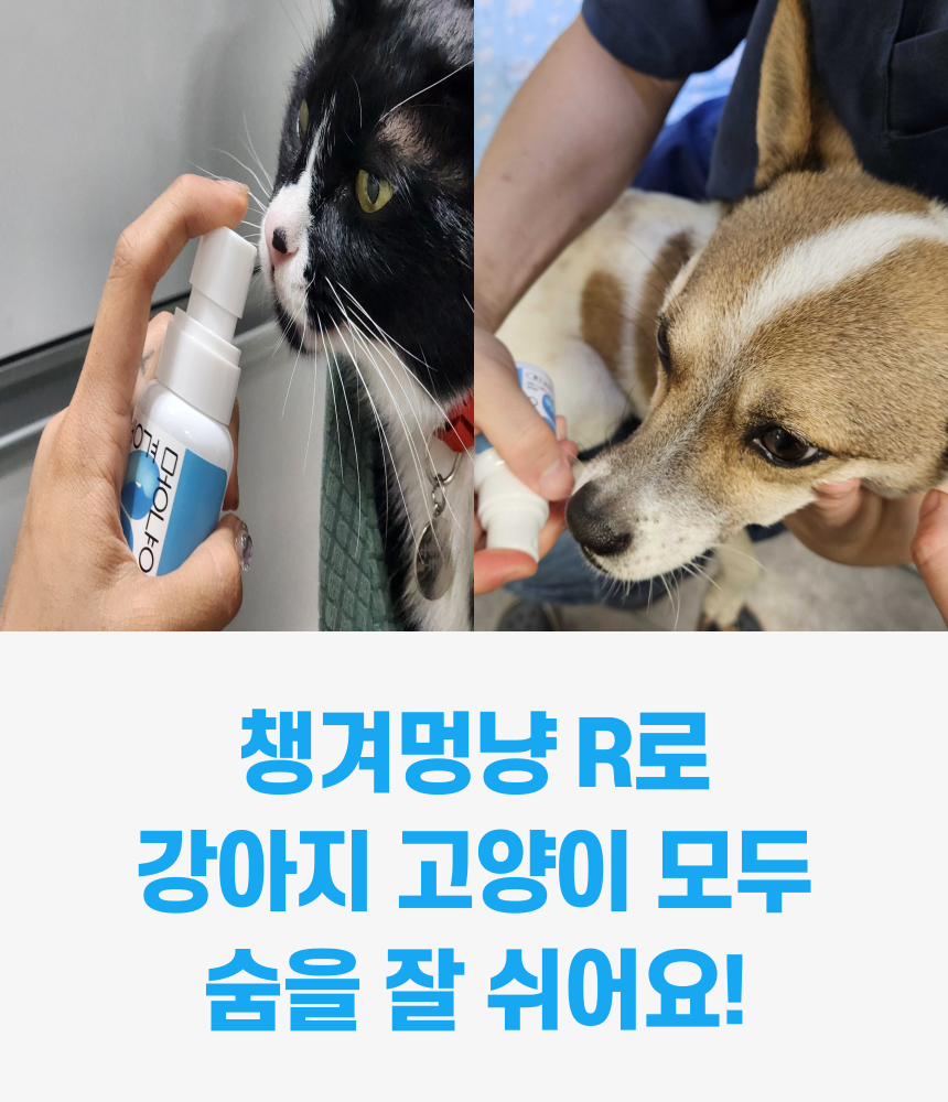 [무료배송] 날라주 챙겨멍냥-R 뿌려먹이는 기관지협착증 영양제 45ml*30일 4번째