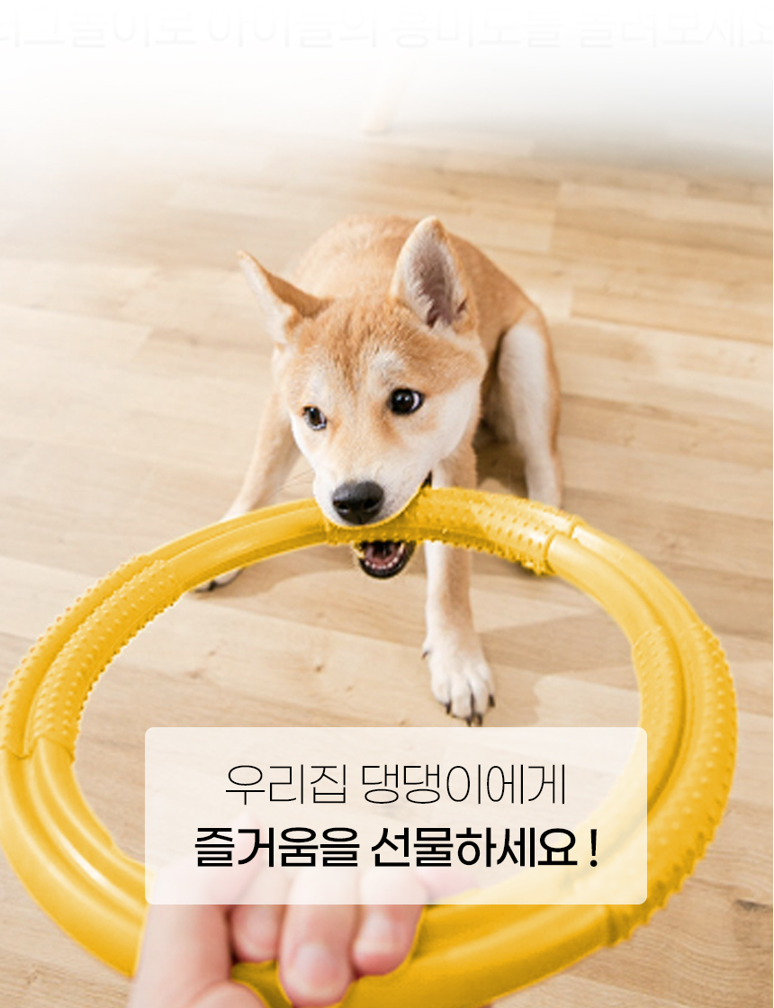 [NEW신상][무료배송] [색상랜덤] 개과천선 후프 로버스 링 장난감 (19cm/29cm) 3번째
