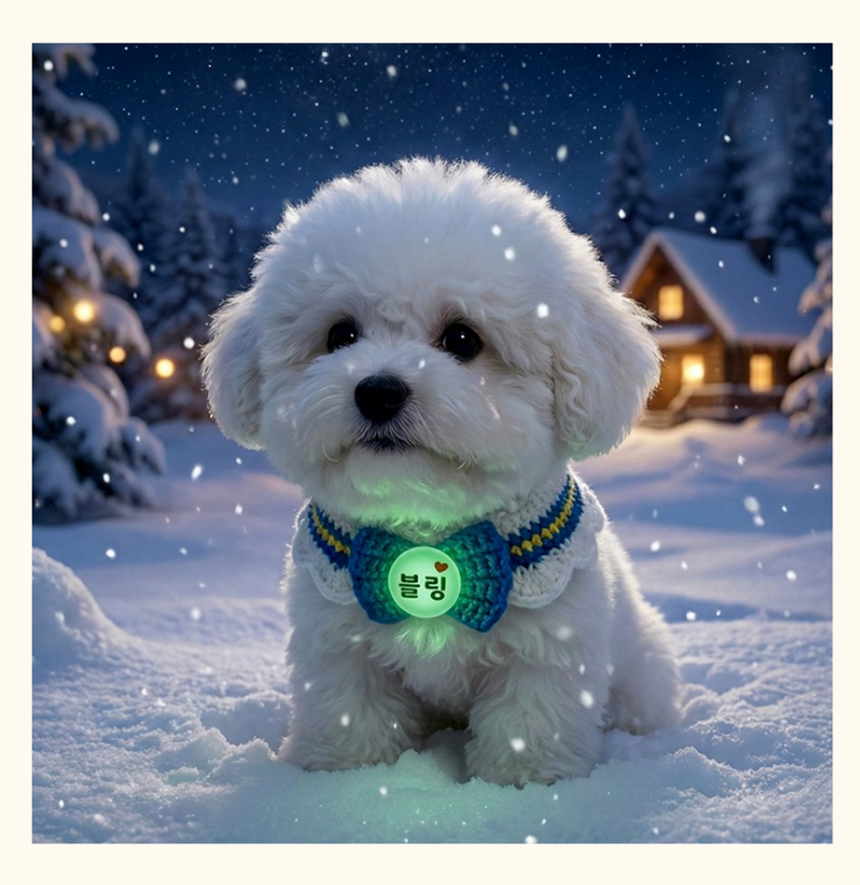 [NEW신상][무료배송] 아름블링 야광 브로치 케이프 레드/블루 S-L 10번째