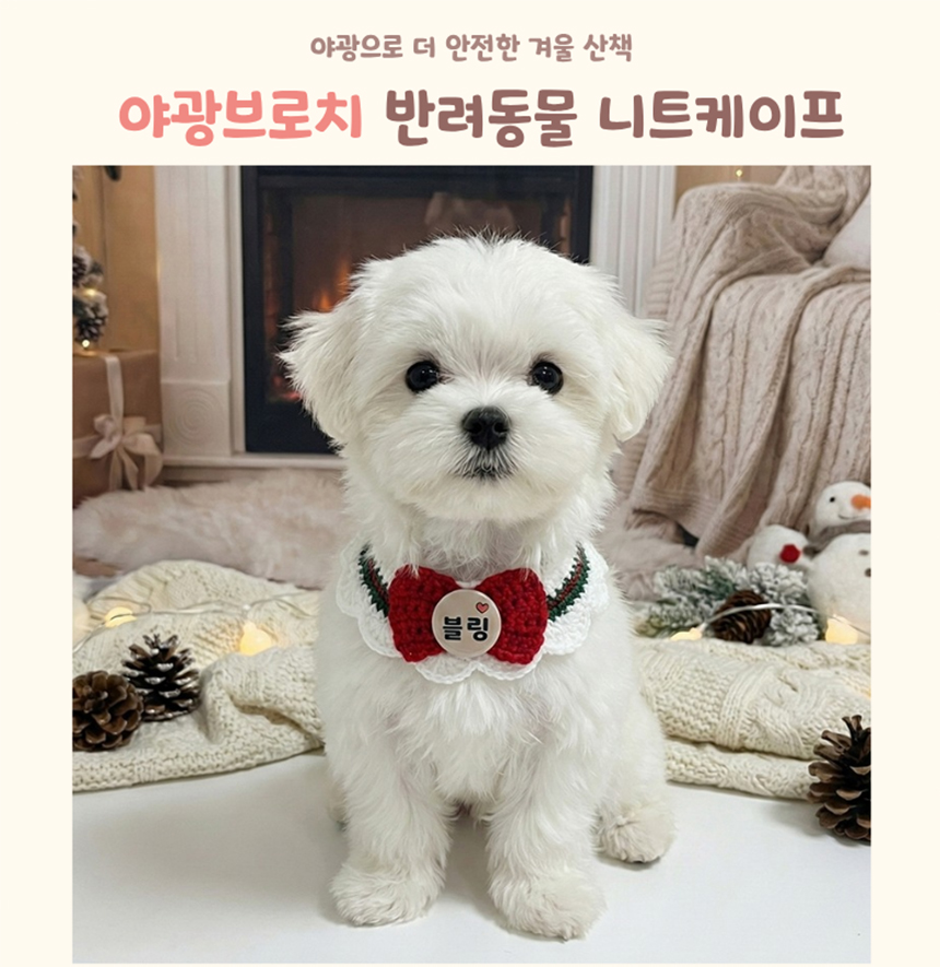 [NEW신상][무료배송] 아름블링 야광 브로치 케이프 레드/블루 S-L 2번째