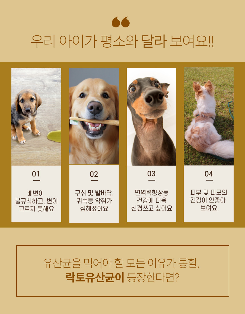 [NEW신상][무료배송] 가치두리 락토 생 유산균 분말 100g 2번째