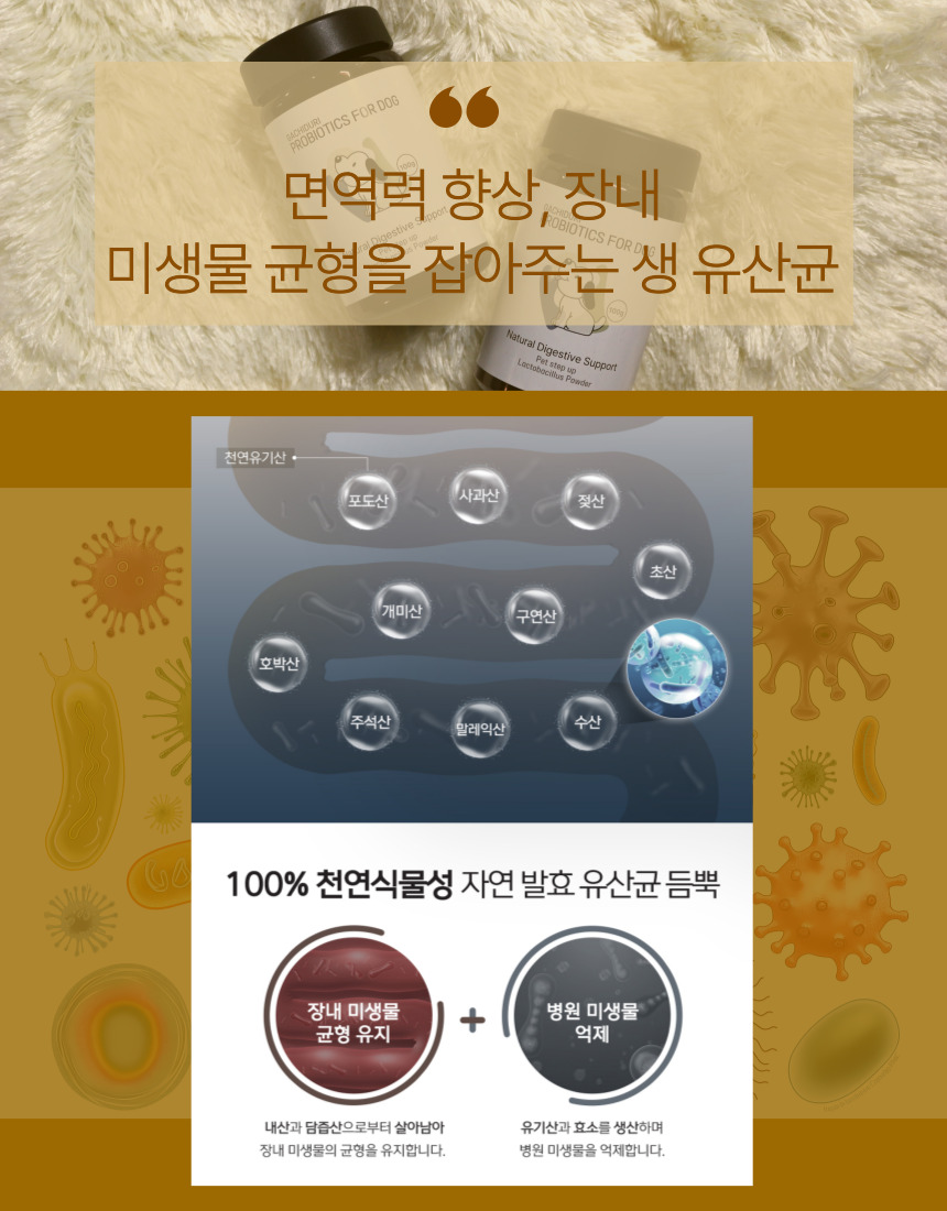 [NEW신상][무료배송] 가치두리 락토 생 유산균 분말 100g 5번째
