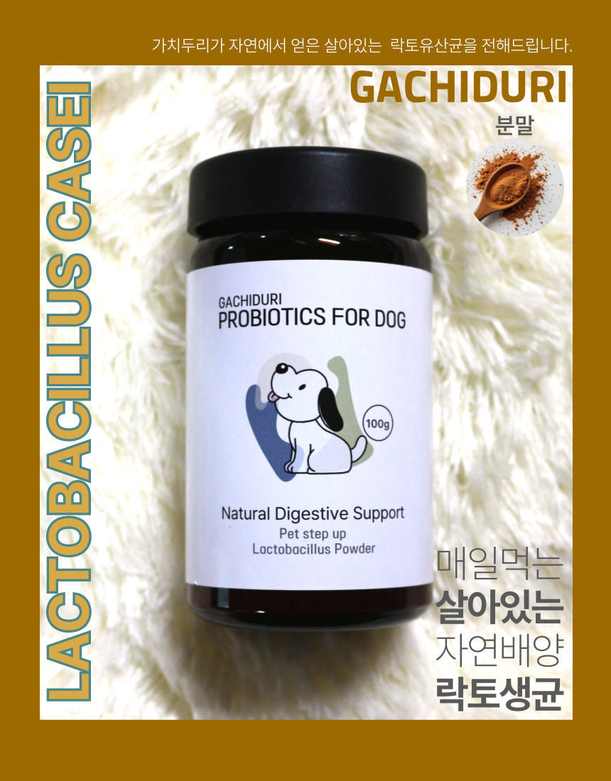 [NEW신상][무료배송] 가치두리 락토 생 유산균 분말 100g 1번째