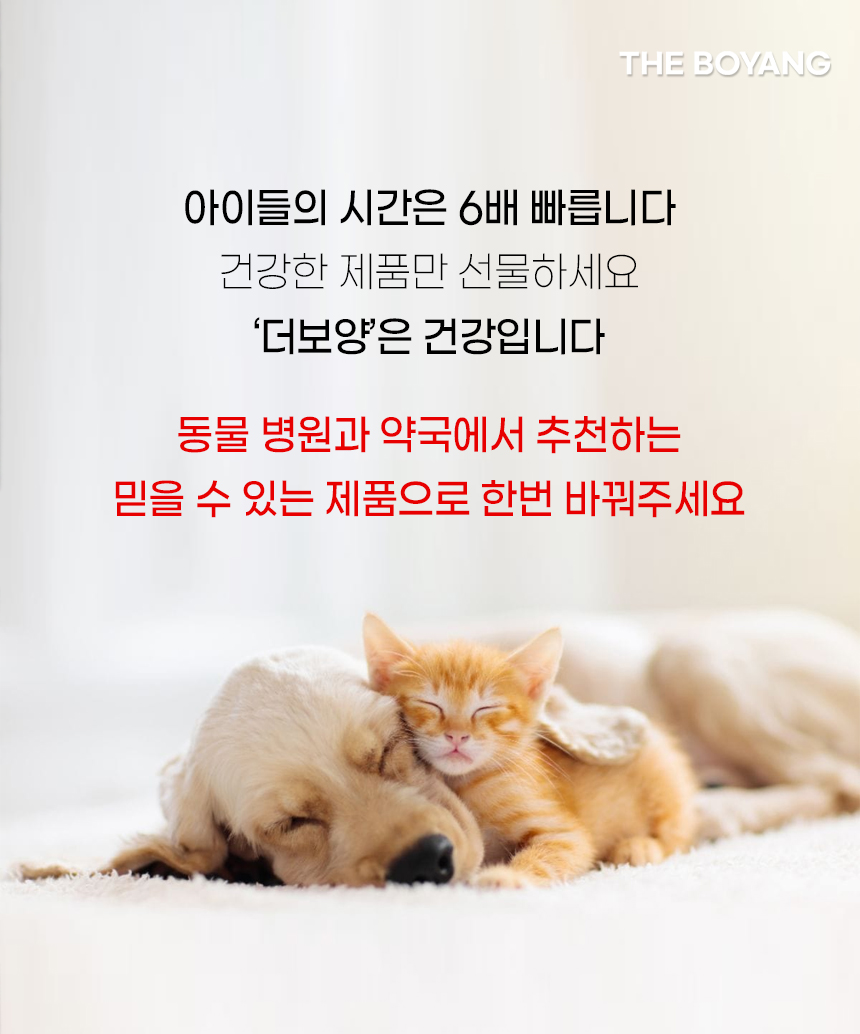 [무료배송] [2개] 더보양 살균/탈취제 보양칙칙 500ml 3번째