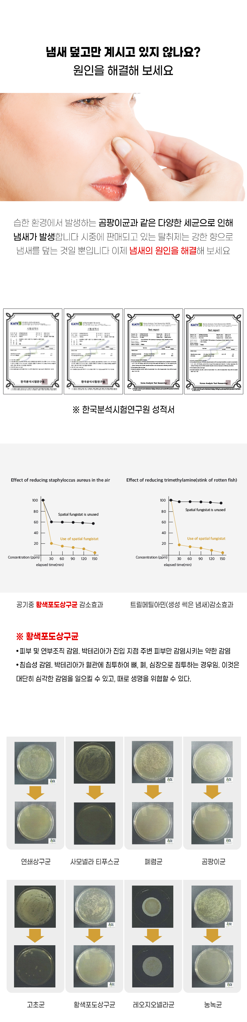 [무료배송] [2개] 더보양 살균/탈취제 보양칙칙 500ml 8번째
