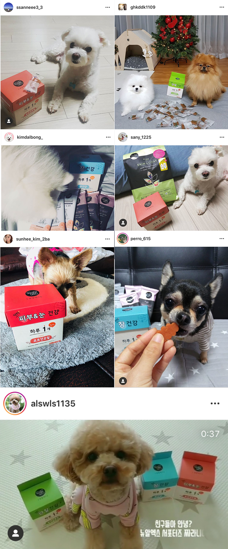 [NEW신상][무료배송] 뉴알엑스 닥터 관절 건강 30개입 240g 4번째
