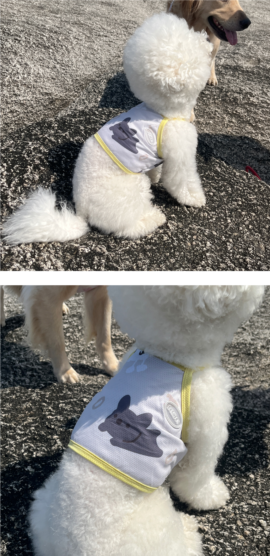 [무료배송] 바크독 진드기방지 안티버그 쿨 크롭티 3color M-6XL 16번째
