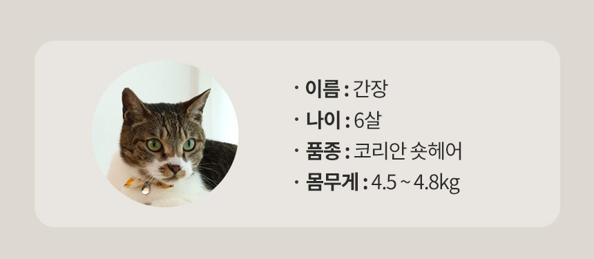 [무료배송] 펫토리아 GP U자형 고양이 스크래쳐 타워 11번째