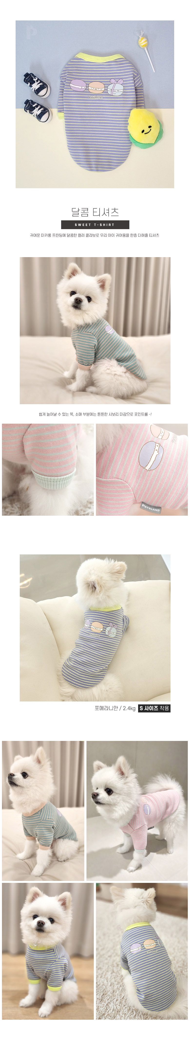 [무료배송] 펫츠랜드 달콤 티셔츠 핑크/퍼플/민트 S-2XL 1번째