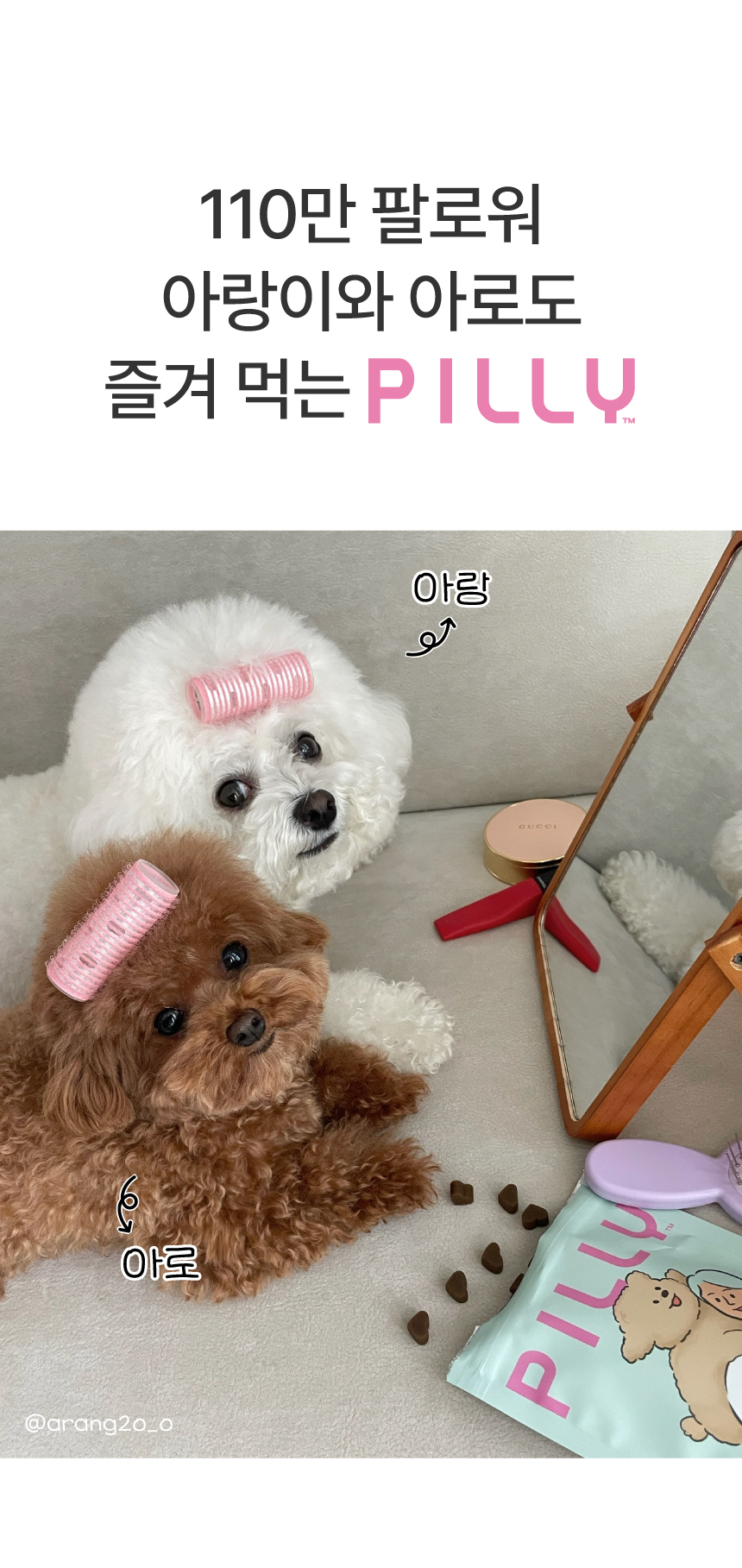 [NEW신상][무료배송] 메이드인랩 필리 강아지 피부 면역 영양제 100정 2번째