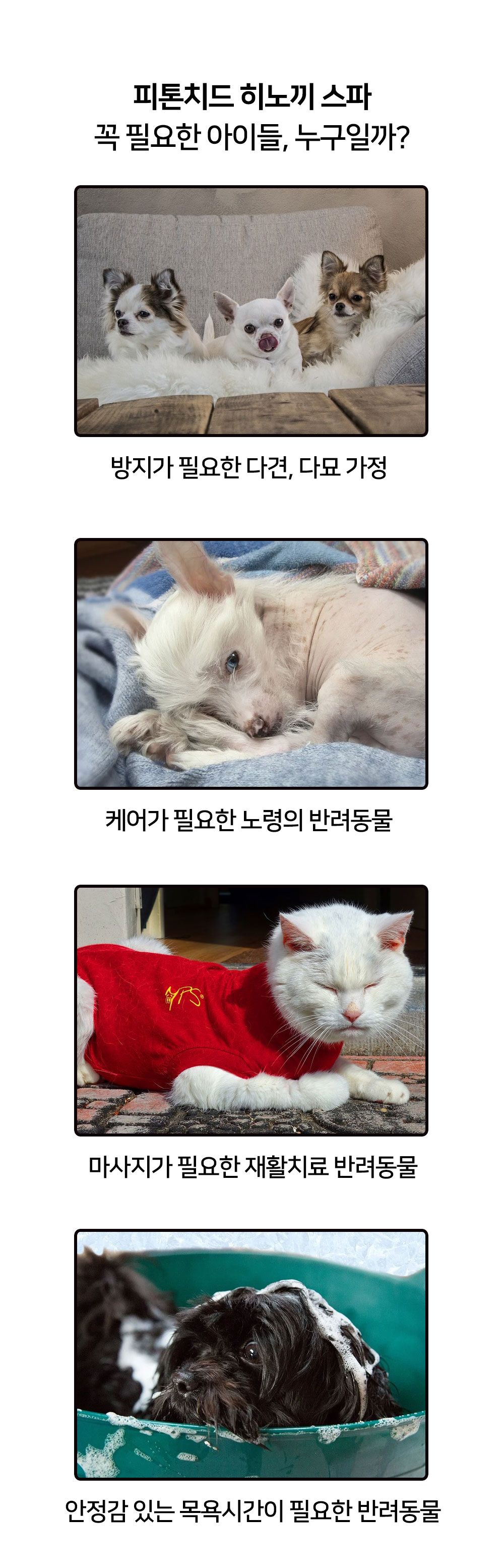 [무료배송] 제이코 비기 히노끼 스파 욕조 7번째