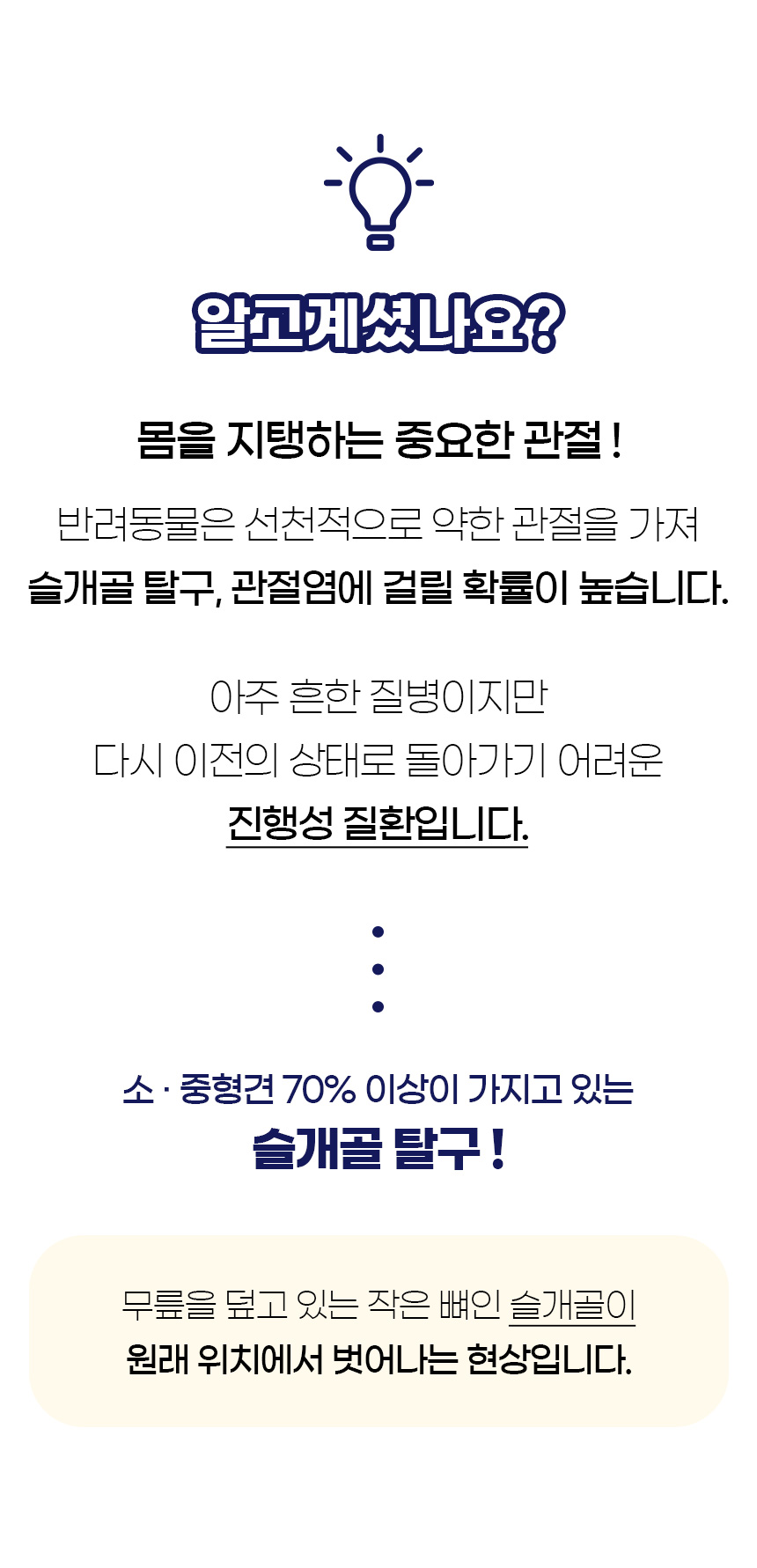 [무료배송] 개과천선 앵글 펫스텝 (아이보리/그레이) 4번째