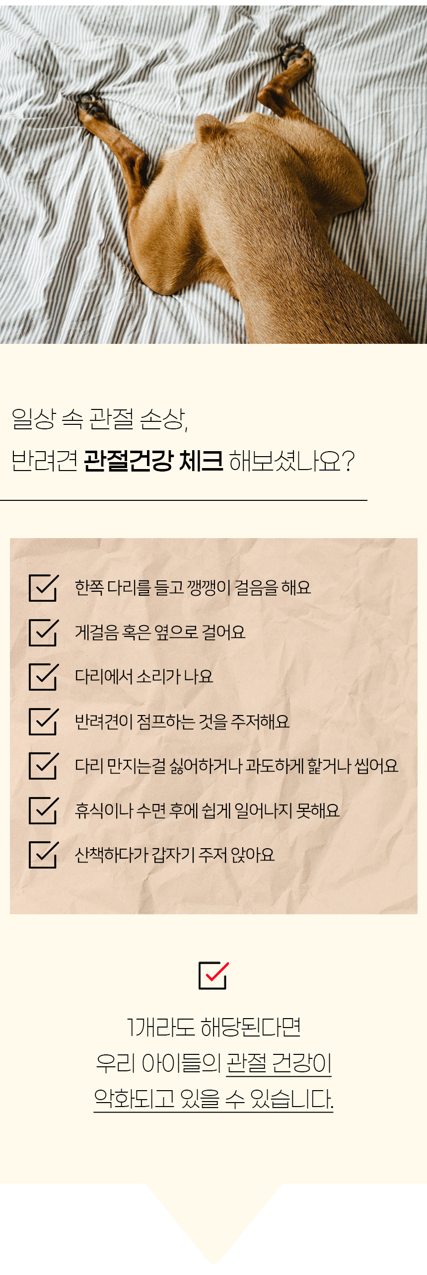 [NEW신상][무료배송] 개과천선 앵글 펫스텝 (아이보리/그레이) 5번째
