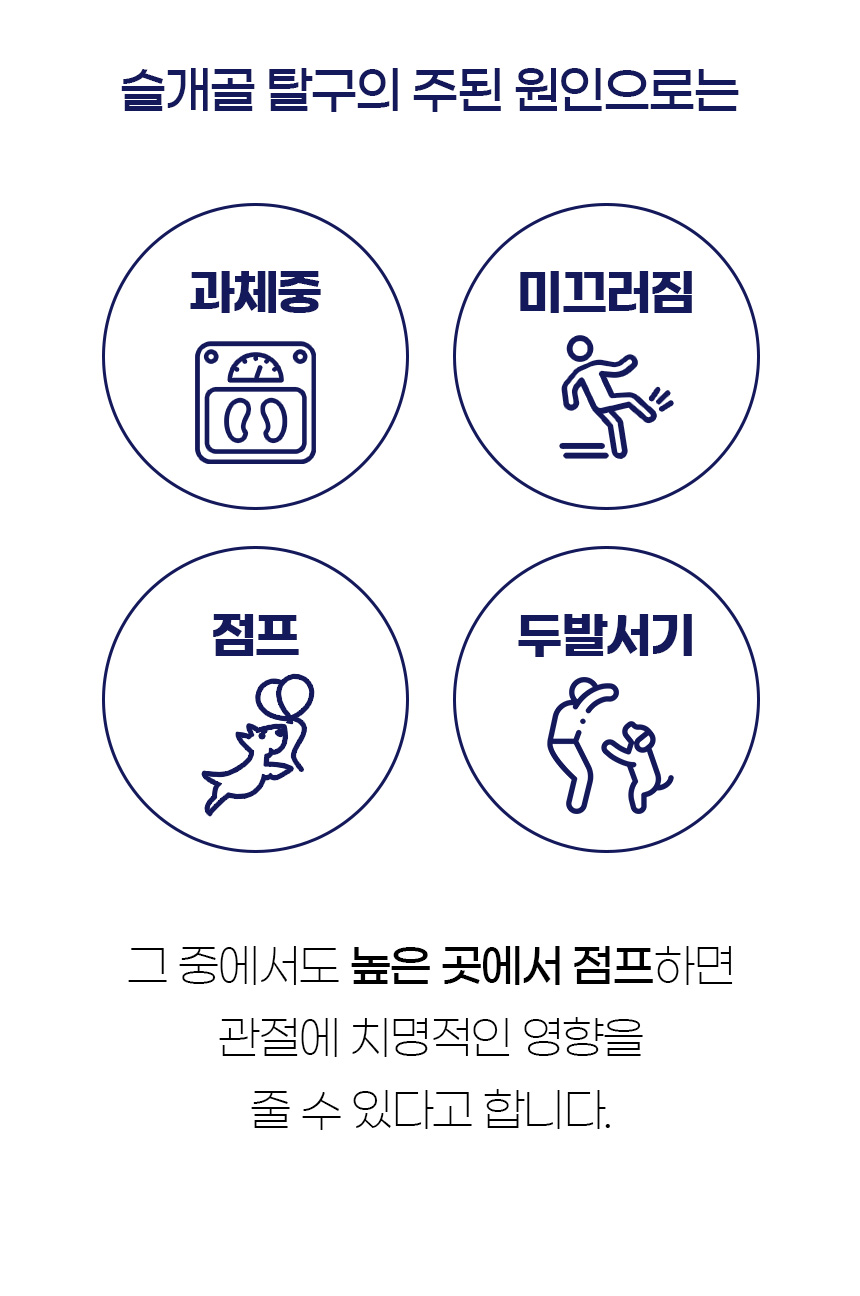 [NEW신상][무료배송] 개과천선 앵글 펫스텝 (아이보리/그레이) 6번째