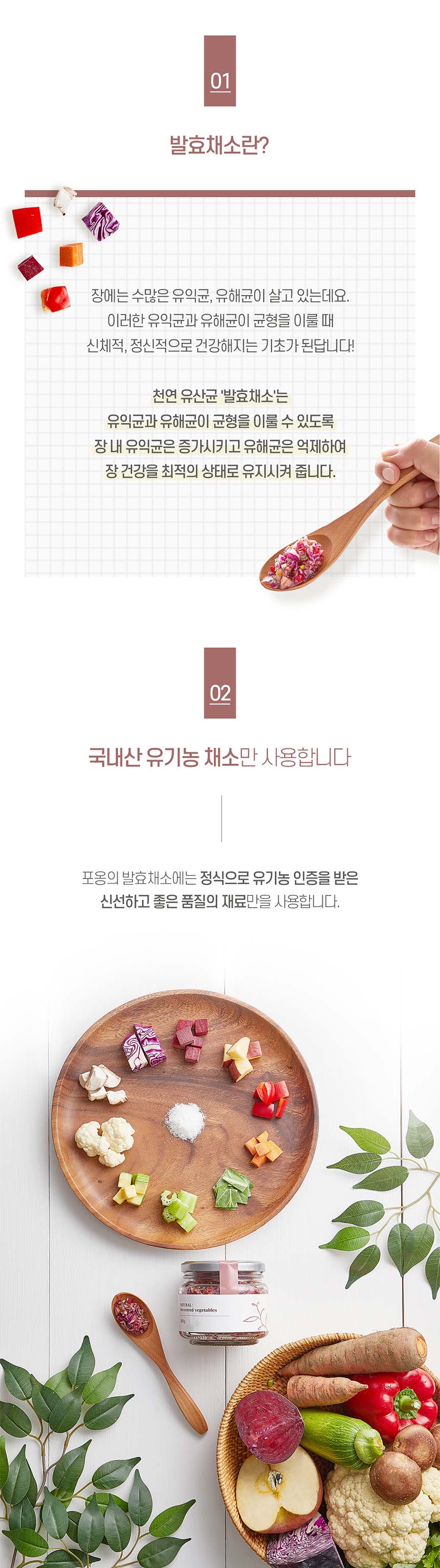 [무료배송] 포옹 독 발효채소 유산균 300g 2번째