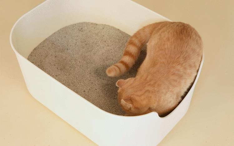[무료배송] 펫쉴드 황토볼 벤토나이트 모래 6kg 8번째