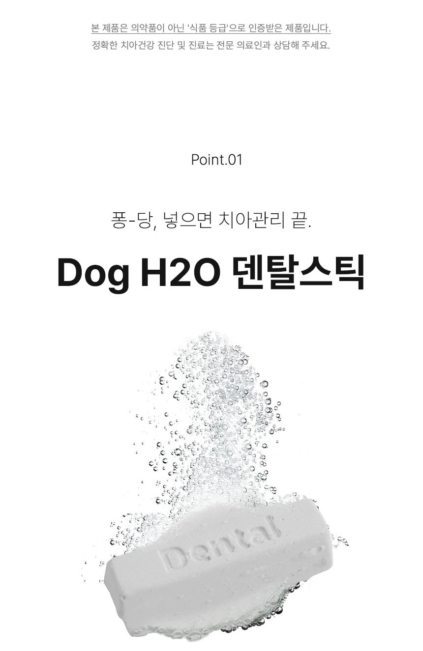 [무료배송] Dogh2o 강아지 고양이 구강케어 자동급수기 정수기 6리터 대용량 11번째