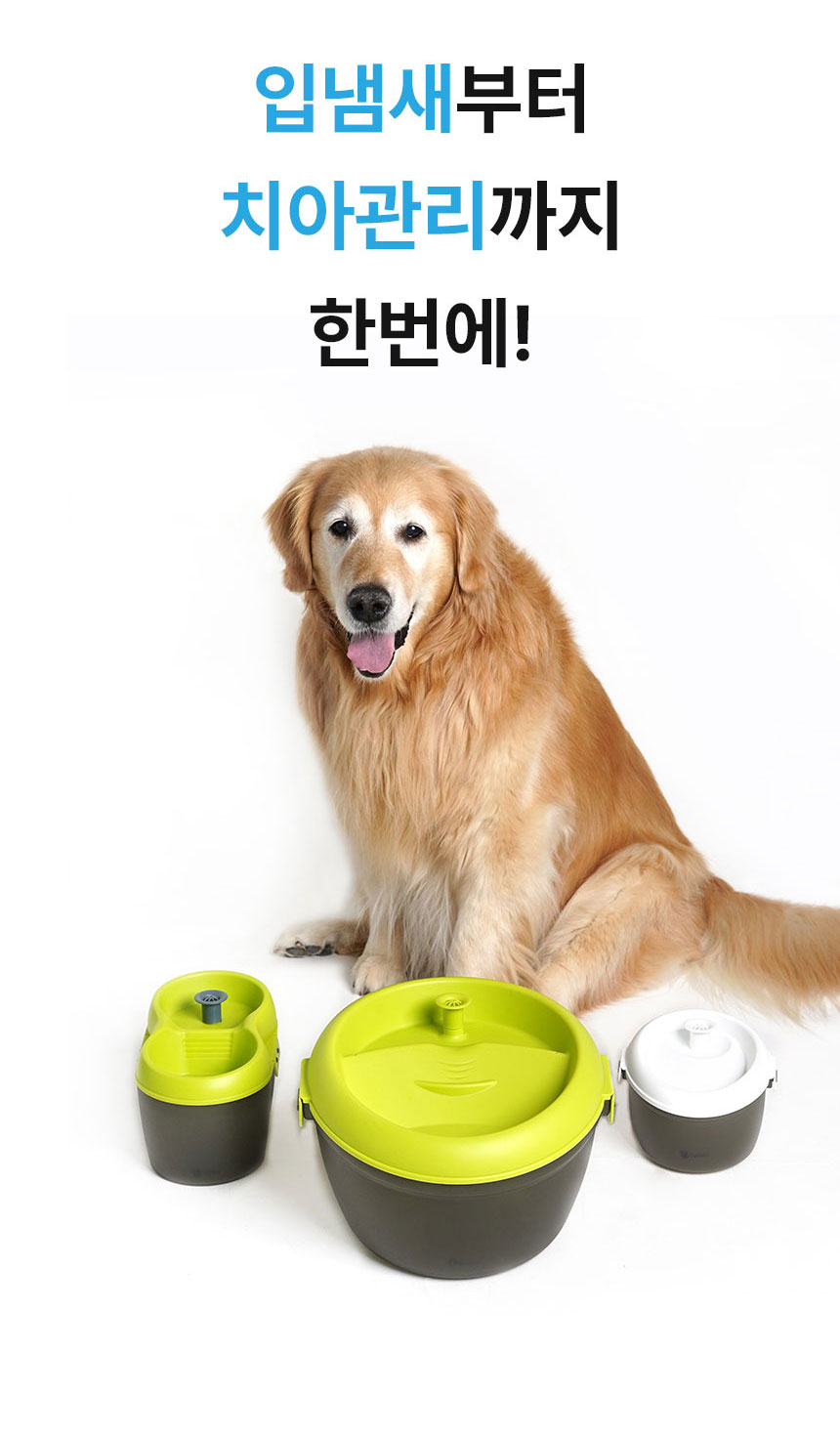 [무료배송] Dogh2o 강아지 고양이 구강케어 자동급수기 정수기 6리터 대용량 4번째