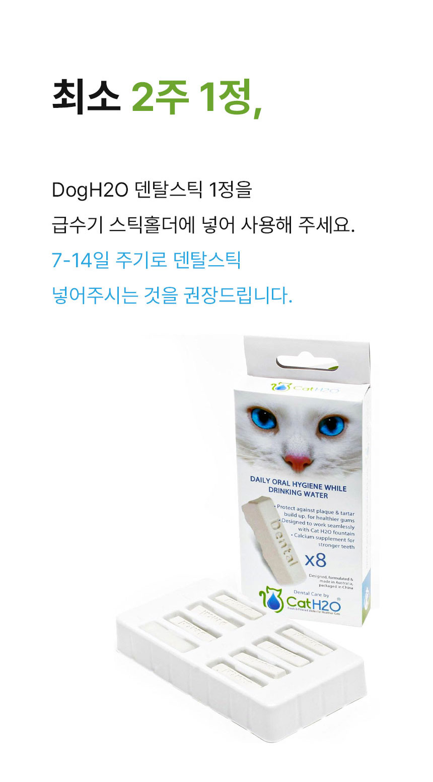[무료배송] Dogh2o 강아지 고양이 구강케어 자동급수기 정수기 6리터 대용량 9번째