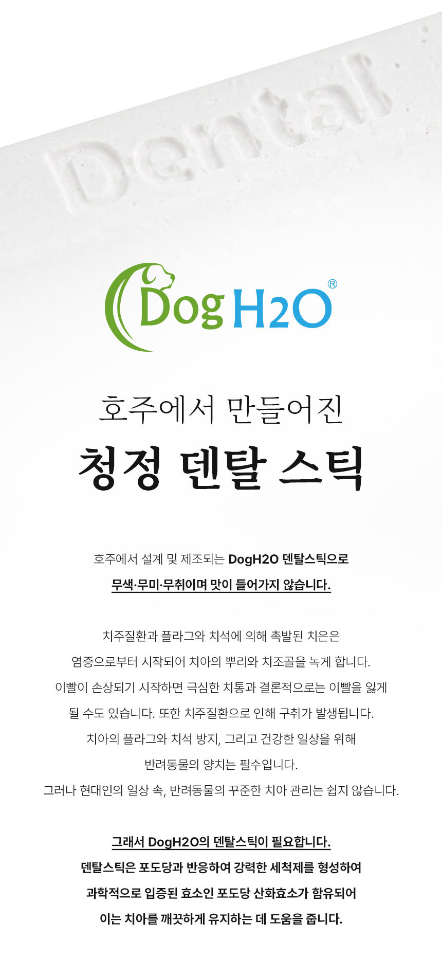 [무료배송] Dogh2o 강아지 고양이 구강케어 자동급수기 정수기 6리터 대용량 8번째
