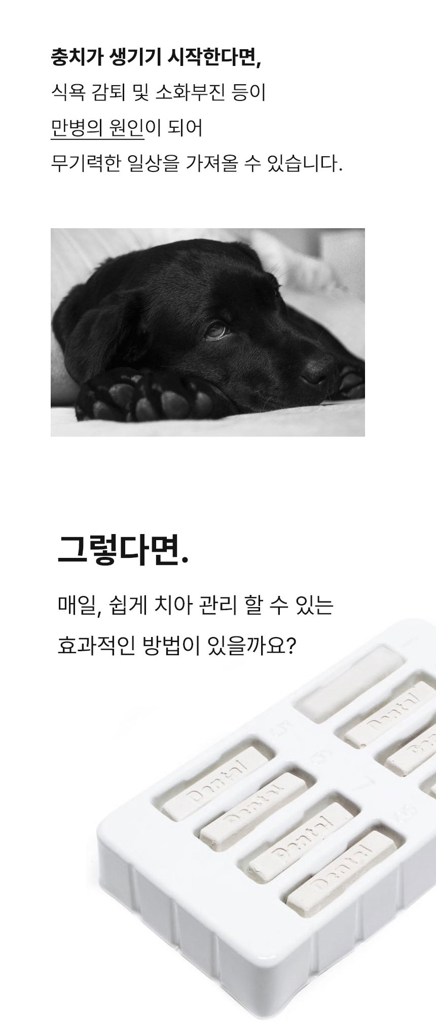 [무료배송] Dogh2o 강아지 고양이 구강케어 자동급수기 정수기 6리터 대용량 7번째
