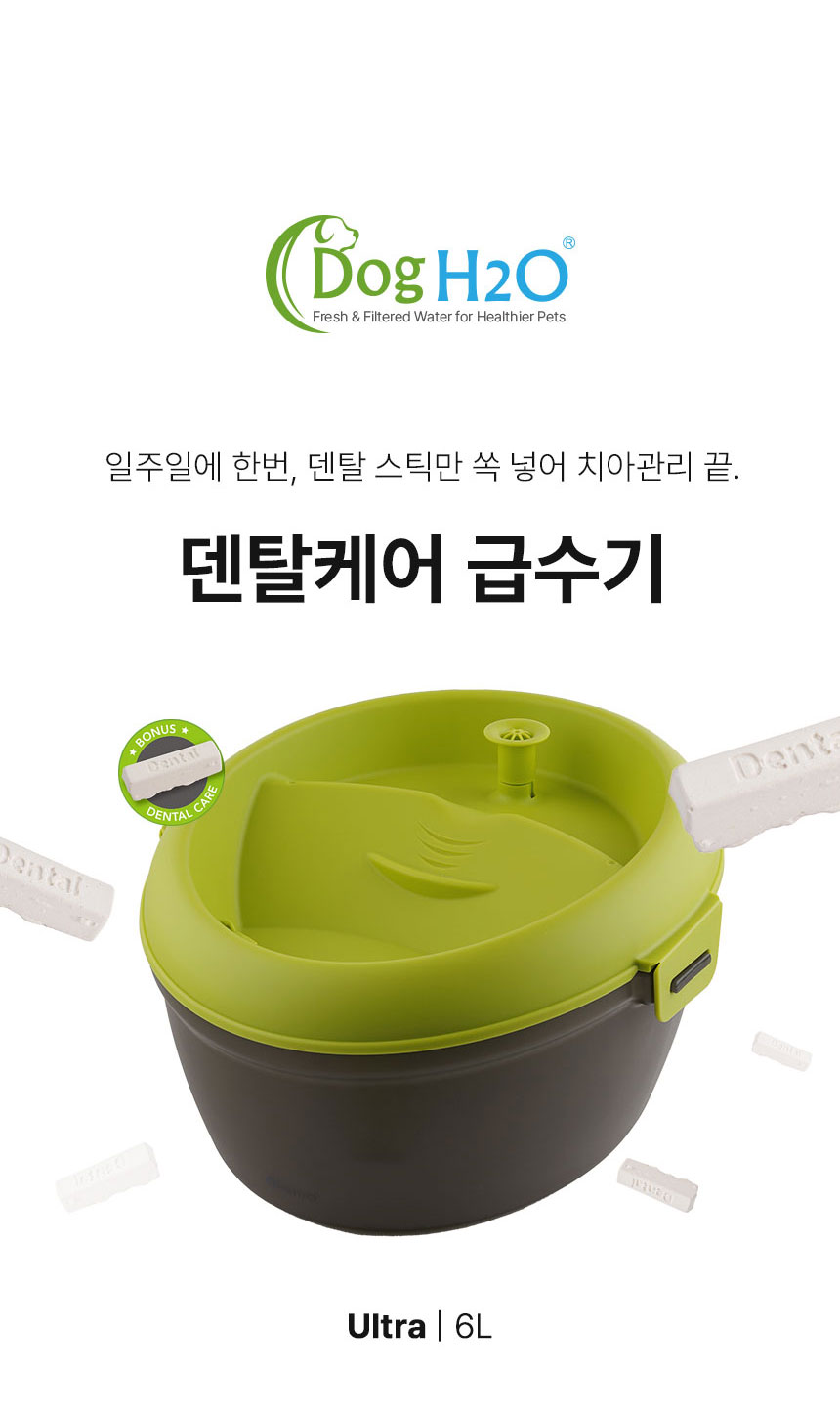 [무료배송] Dogh2o 강아지 고양이 구강케어 자동급수기 정수기 6리터 대용량 3번째