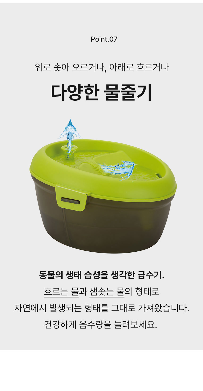 [무료배송] Dogh2o 강아지 고양이 구강케어 자동급수기 정수기 6리터 대용량 26번째
