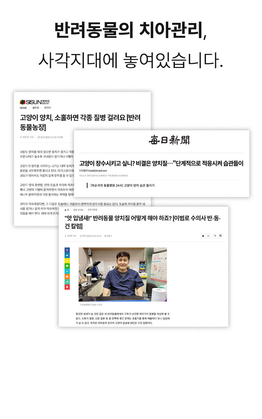 [무료배송] Dogh2o 강아지 고양이 구강케어 자동급수기 정수기 6리터 대용량 5번째