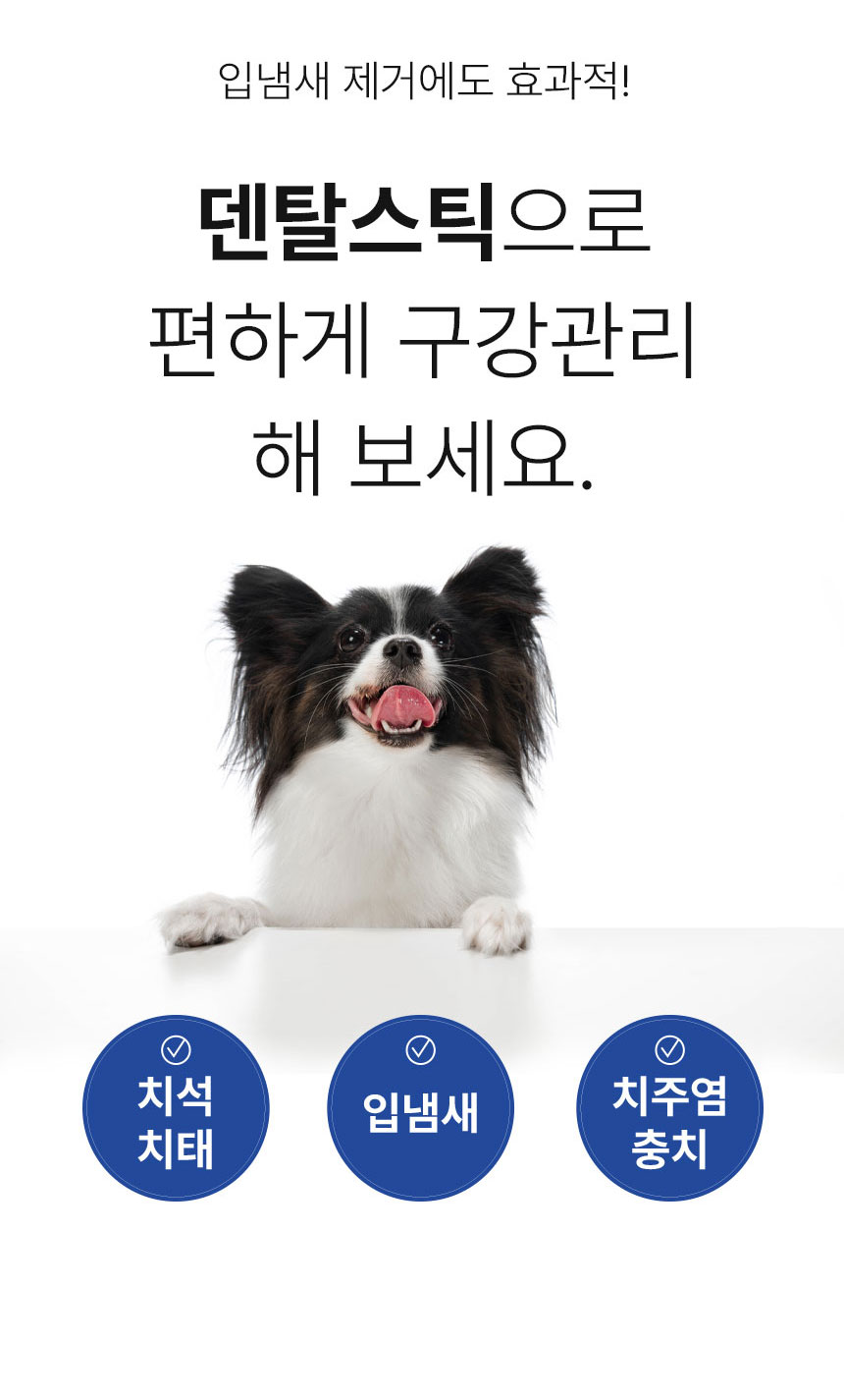 [무료배송] Dogh2o 강아지 고양이 구강케어 자동급수기 정수기 6리터 대용량 15번째