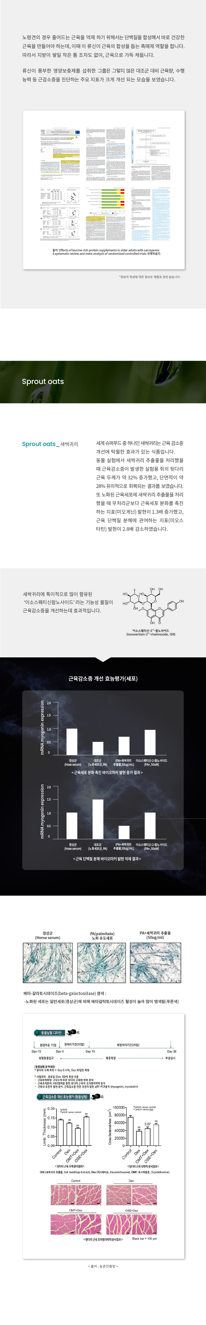 [NEW신상][무료배송] 도그니즈 류신프로틴 240g 12번째