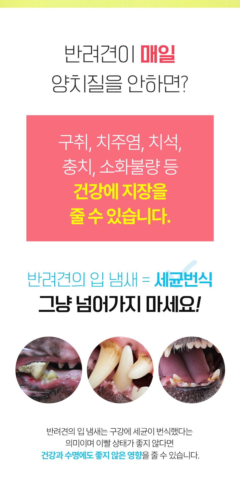 [NEW신상]포켄스 덴티페어리 독 디스펜서 벚꽃에디션 S 80p + 미니바이츠 3번째