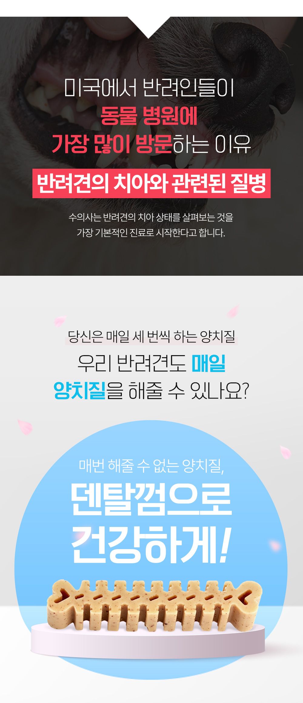 [NEW신상]포켄스 덴티페어리 독 디스펜서 벚꽃에디션 S 80p + 미니바이츠 4번째