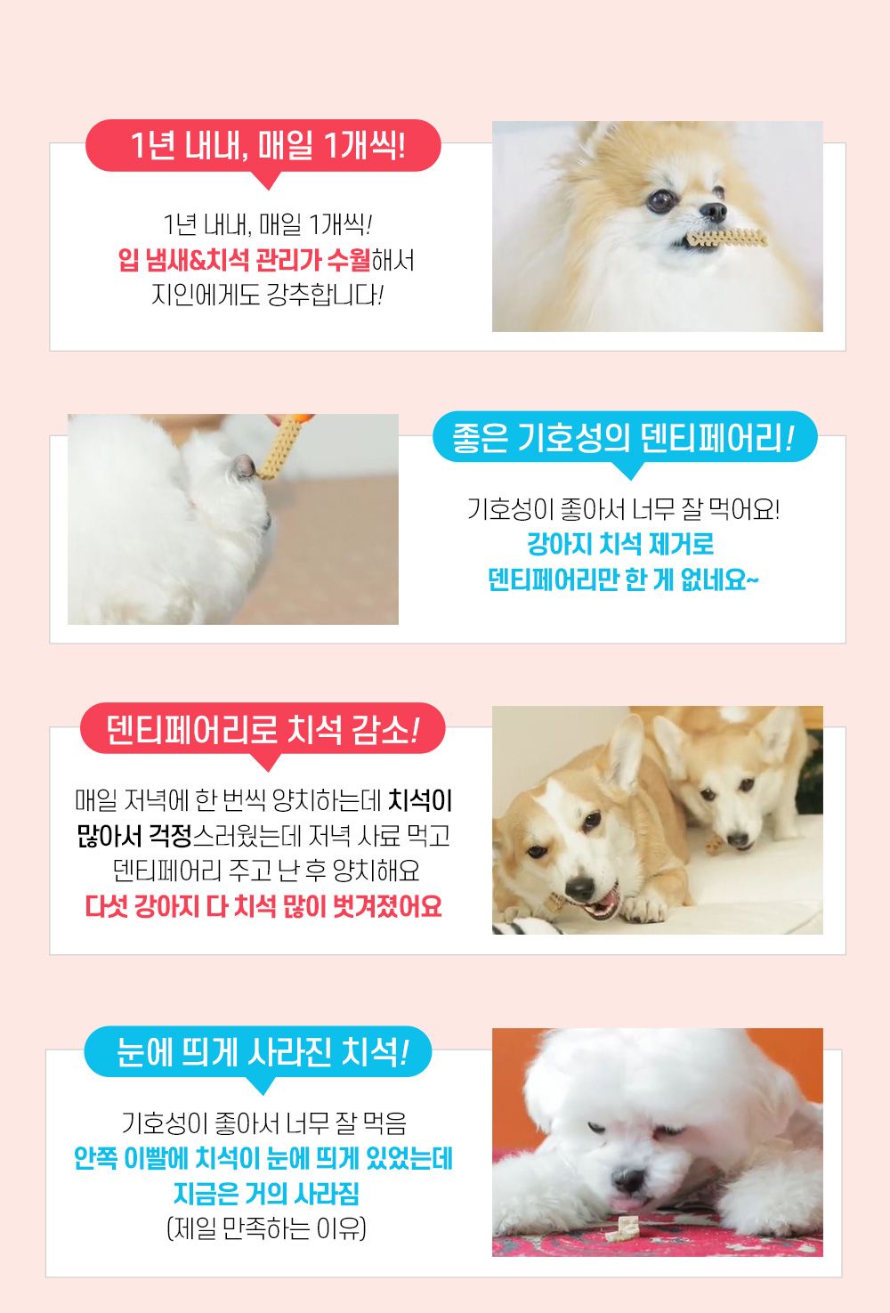 [NEW신상]포켄스 덴티페어리 독 디스펜서 벚꽃에디션 S 80p + 미니바이츠 13번째