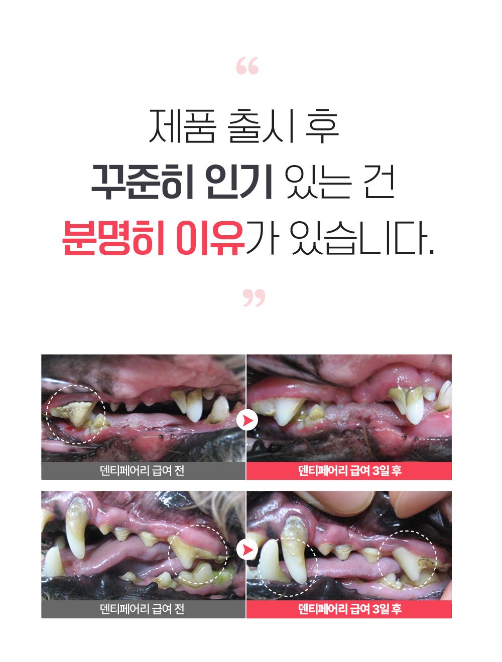 [NEW신상]포켄스 덴티페어리 독 디스펜서 벚꽃에디션 S 80p + 미니바이츠 10번째