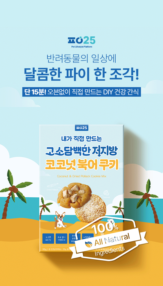 [NEW신상][무료배송] 파이25 DIY 코코넛 북어 쿠키 1번째
