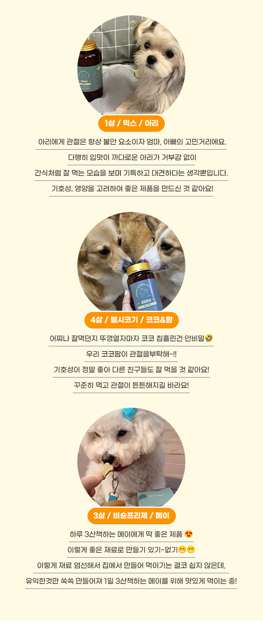 [무료배송] 애니먼 독 잘달릴걸 관절&골격 영양제 250g 2번째