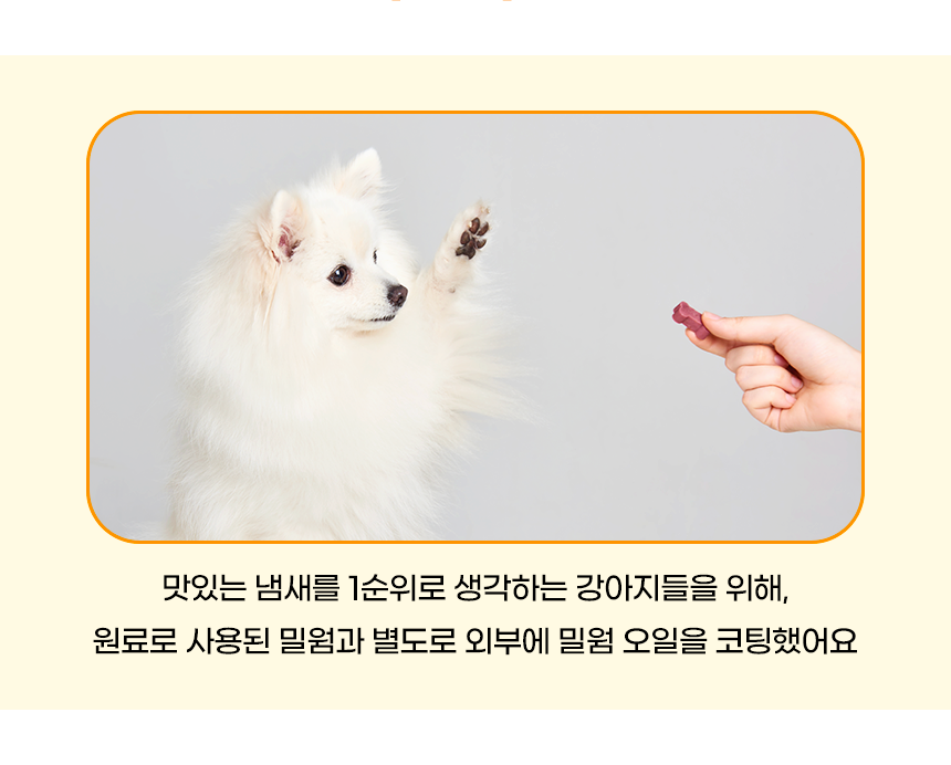 [무료배송] 애니먼 독 잘달릴걸 관절&골격 영양제 250g 9번째